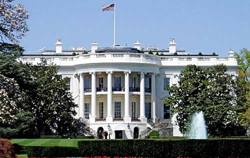 Трамп планує провести бій UFC у Білому домі